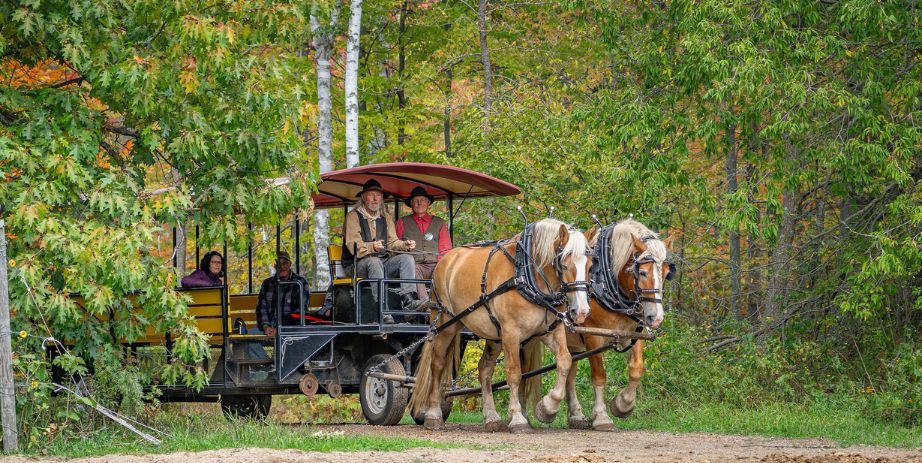 Horse-Drawn Spring Phenology Tour at the Forest History Center