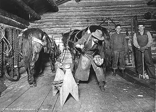 Photo of a blacksmith hammering a shoe onto a horse, two men and a second horse stand off to the side, 1912.