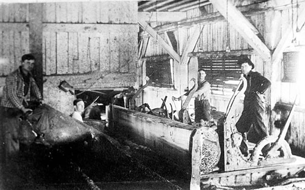 Photo of sawmill interior, the chief sawyer is crouching next to the blade of the gang saw.
