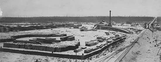 Photo of a sawmill and lumberyard located next to railroad tracks, 1893.