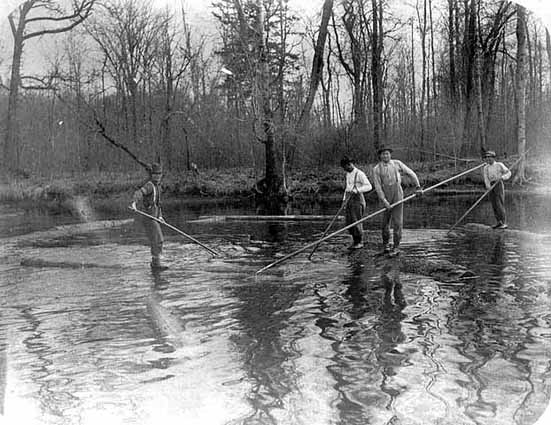 Photo of four log drivers standing on logs with pike poles in a river, 1912.