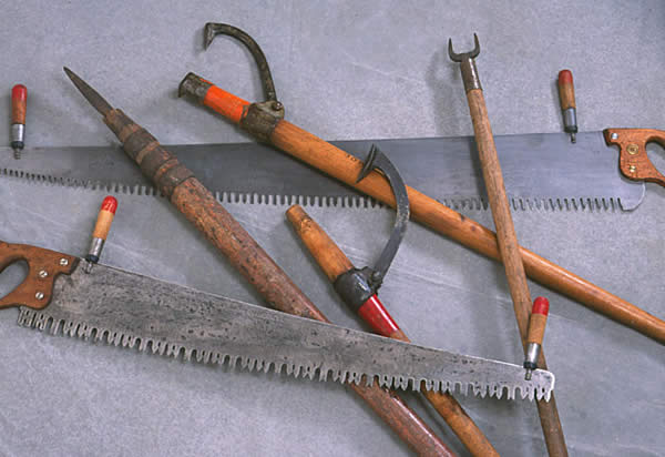 Color photo of lumberjack and log driving tools including: saws, pike poles, and peavies.
