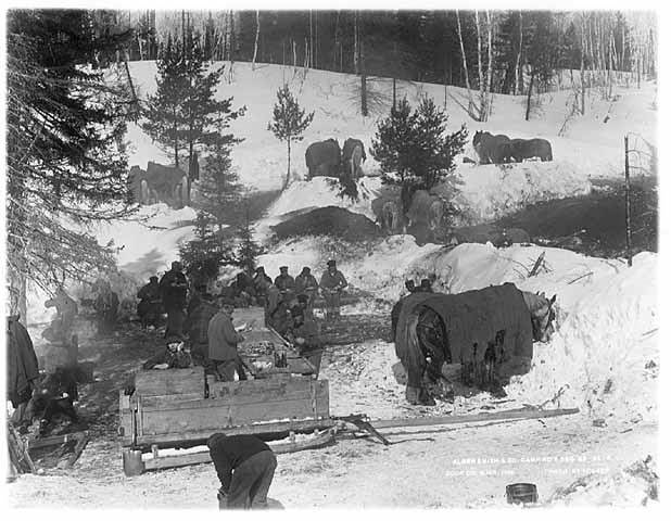 Photo of lumberjacks and their horses eating lunch in the woods, the sled that brought the lunch is in the foreground, 1916.
