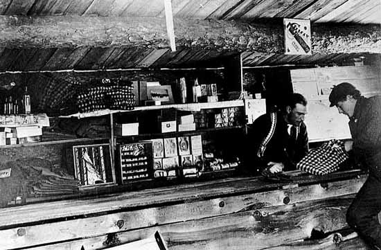 Photo inside a logging camp store of a lumberjack examining a plaid shirt; a clerk stands behind the counter, shelves with shirts and other items line the wall, 1900-1902.