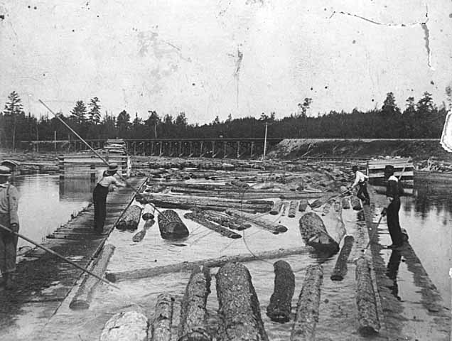 Photo of log drivers with pike poles standing on platforms in the water, guiding logs to a sluiceway, ca. 1900.