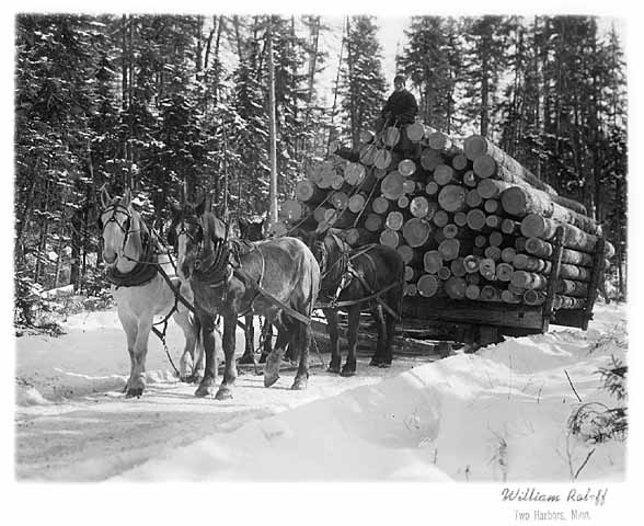 Photo of teamster sitting on top of a sled loaded with logs, four horses pull the sled, 1916.