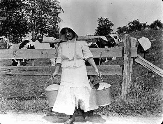 Photo of woman carrying two pails of milk hanging from a yoke around her neck, 1900.
