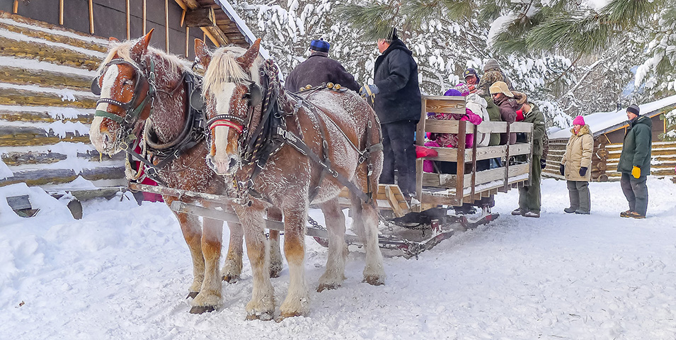 Sleigh ride at Forest History Center.