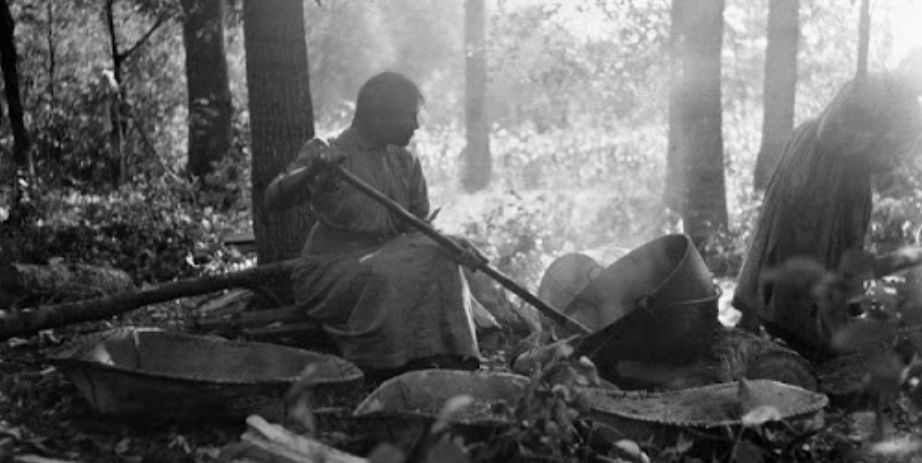 Wild Rice Demo Mille Lacs Indian Museum