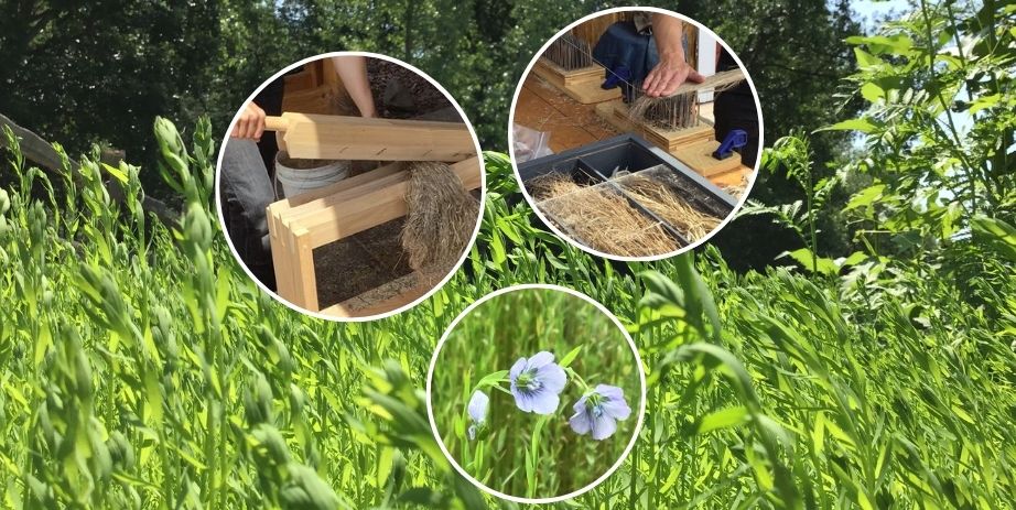 Focused on Craft Flax to Fiber Snake River Fur Post