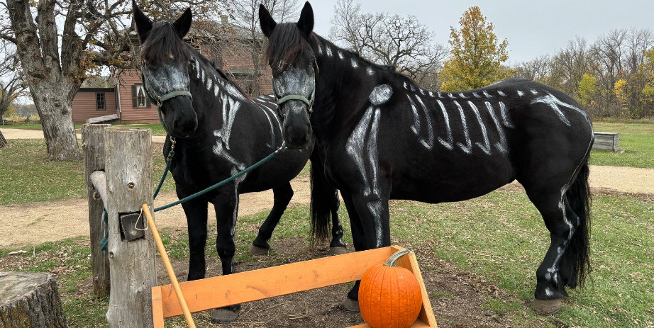 Halloween Farm