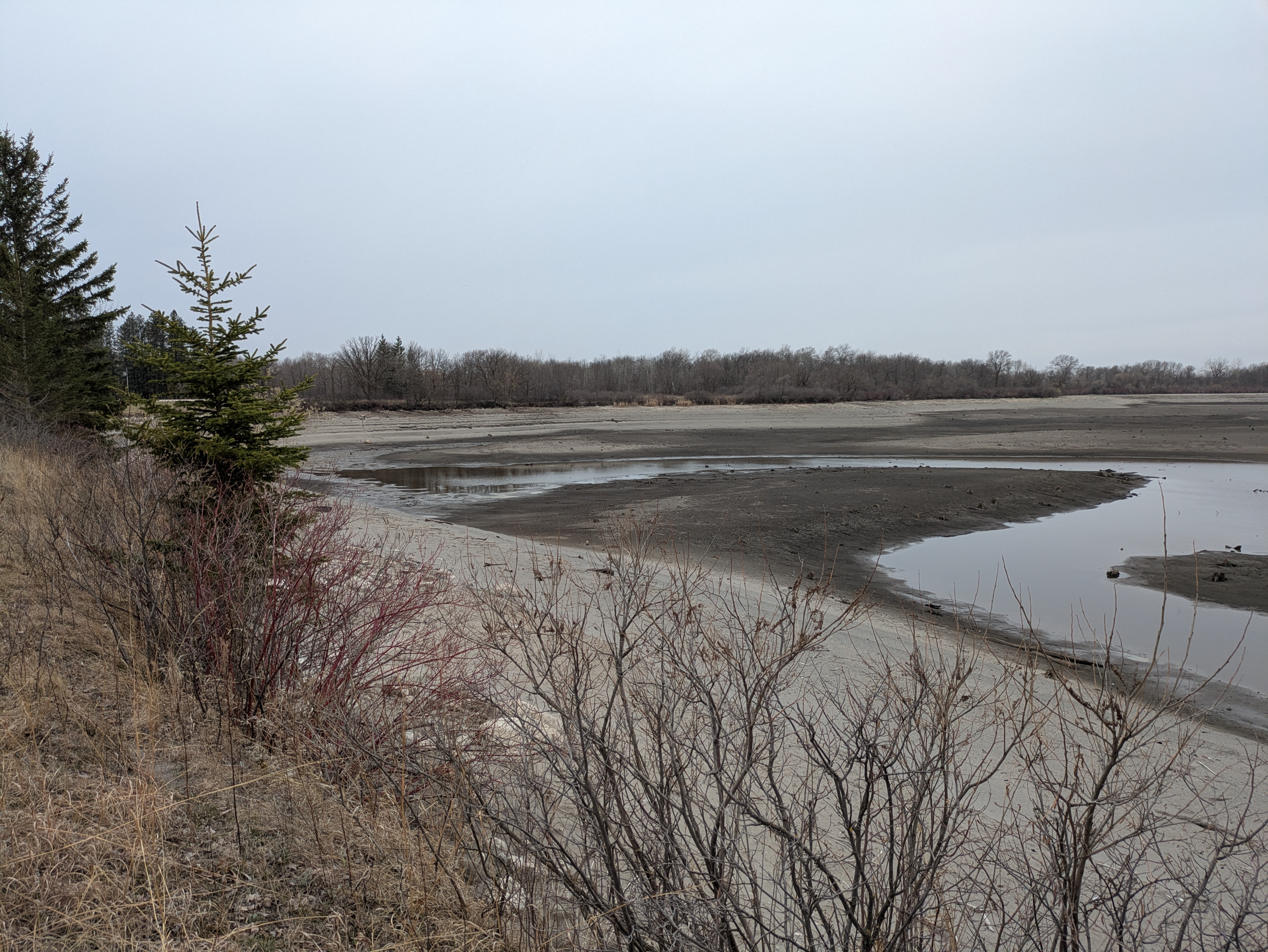 Lake Bronson archaeological survey