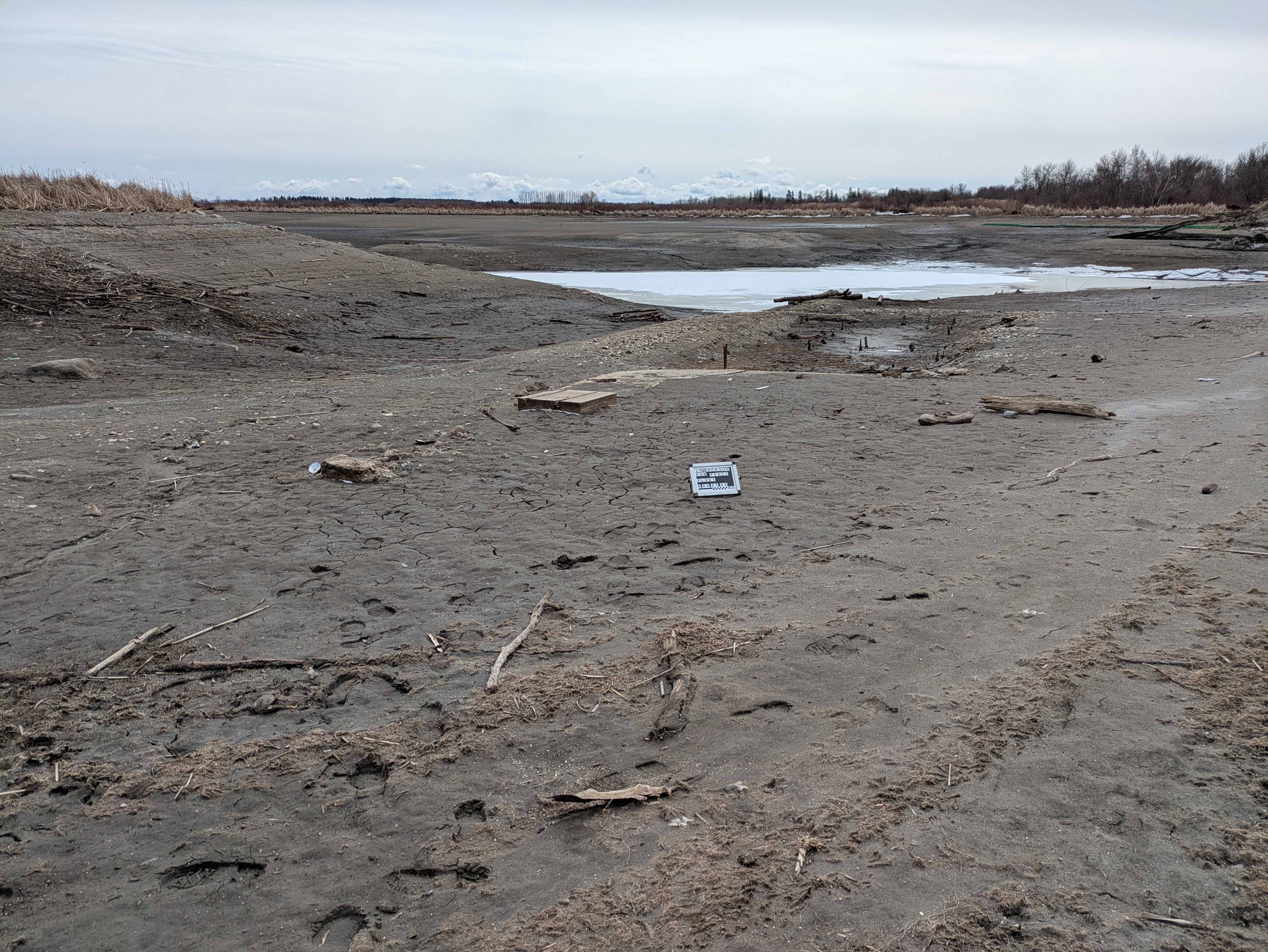 Lake Bronson archaeological survey