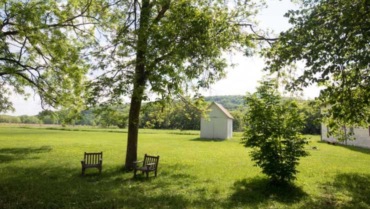 A view through some trees to a little hill with two chairs beside a tree.